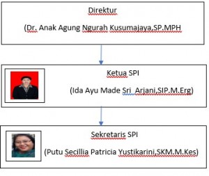 Struktur organisasi SPI