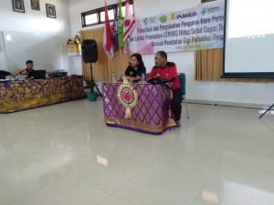 apar 3